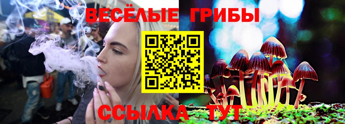 Егорьевск  Alpha PVP СОЛЬ кристаллы  ГАШ  Мефедрон кристаллы  Cocaine  Вход с VPN  МЕТАДОН  Бошки Шишки  ГАШ 