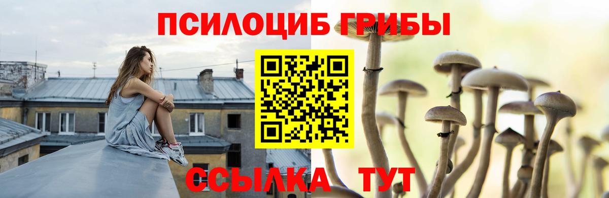 Галлюциногенные грибы мицелий Егорьевск
